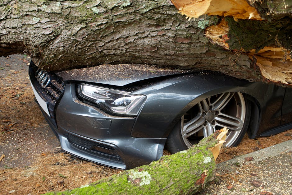 A dark grey Audi car with its front end partially crushed beneath a fallen tree in an outdoor setting, showing the damaged hood, headlight, and front bumper. The tree trunk rests across the top of the vehicle, with visible bark and wood chips scattered around. The wheel on the front right side remains visible, featuring a silver alloy rim, while the vehicle is situated on a paved or gravel surface with pine needles and moss nearby. The scene indicates an incident during a home relocation or moving process involving outdoor transport, with the fallen tree obstructing access and potentially causing damage to nearby vehicles, and suggests the need for professional removal services such as those offered by Man with Van Elmstead, which specialises in removals and transportation.